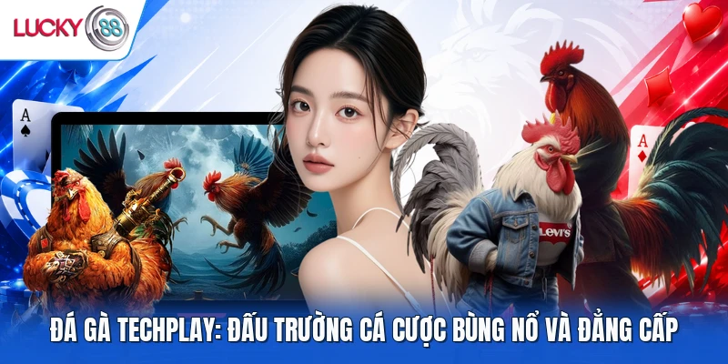Đá Gà Techplay: Đấu Trường Cá Cược Bùng Nổ Và Đẳng Cấp