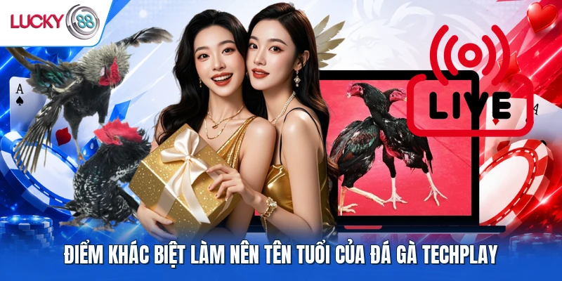Điểm khác biệt làm nên tên tuổi của đá gà TechPlay