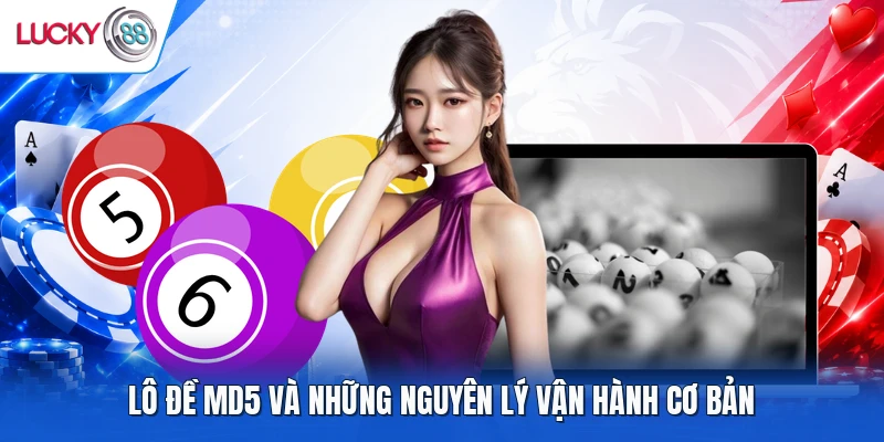 Lô đề MD5 và những nguyên lý vận hành cơ bản