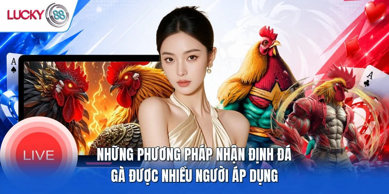 Những phương pháp nhận định đá gà được nhiều người áp dụng