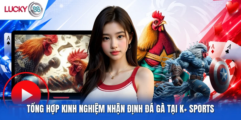 Tổng hợp kinh nghiệm nhận định đá gà tại K+ Sports