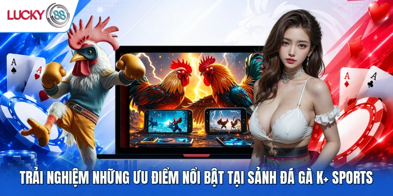 Trải nghiệm những ưu điểm nổi bật tại sảnh đá gà K+ Sports